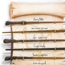 1. Preis: Dumbledores Armee - Zauberstabkollektion 
