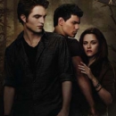 4. Preis: New Moon - Bettwäsche 